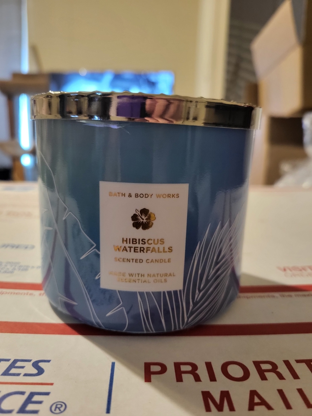 Bath & Body Works Hibiscus Waterfalls Scented Candle - Blue with Silver Lid